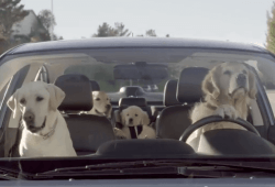 subaru-dog-commercial