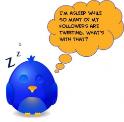 Sleeping-twitter-bird